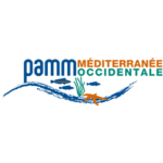 pamm